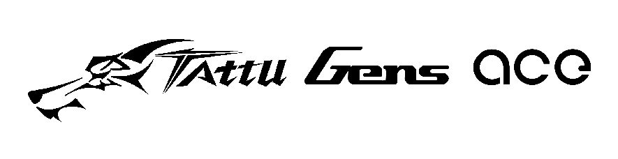 Gens Ace